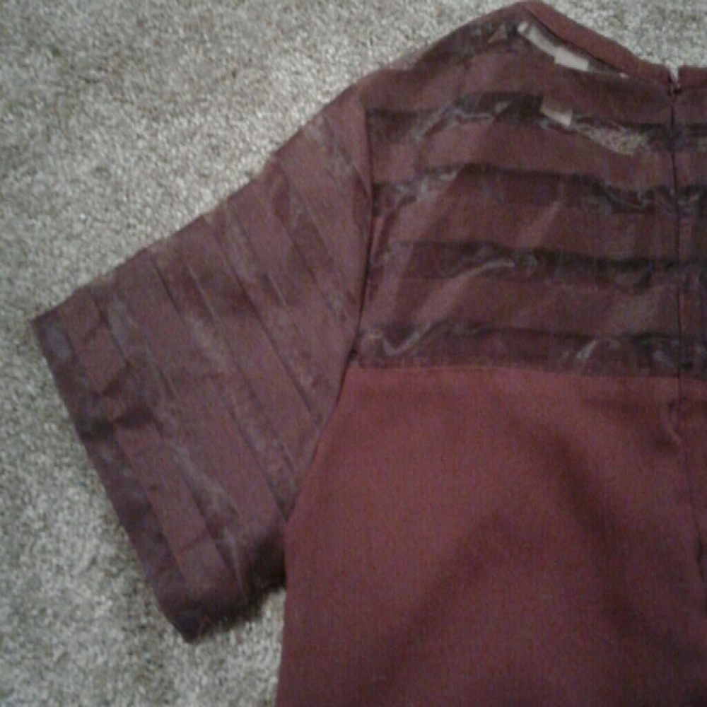 Forever 21 Burgundy Mesh Stripe Short Sleeve Top - Picture 3 of 4